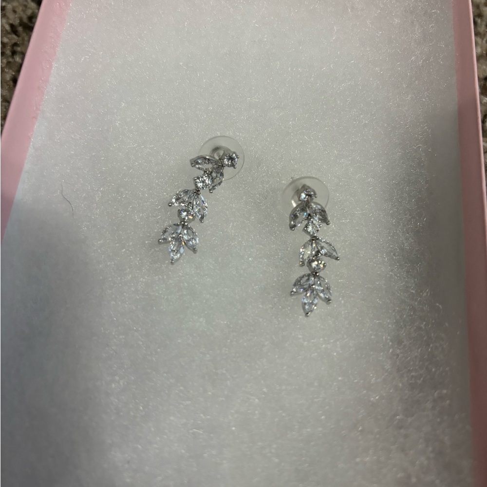 Elegant Silver Drop Earrings